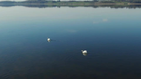Free Video Stock Summer Lake Live Wallpaper - Free Live Wallpaper