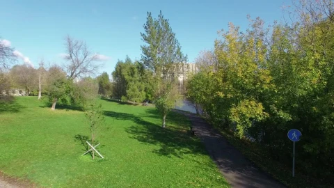 Free Video Stock Summer Over A Residential Area Live Wallpaper - Free Live Wallpaper
