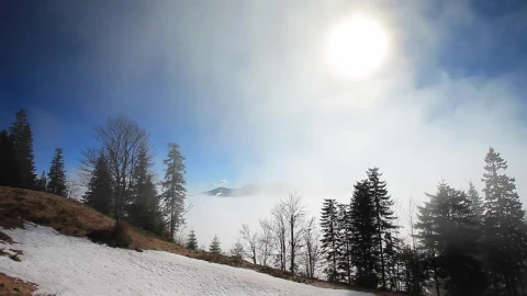 Free Video Stock Sun Flare On The Top Of A Foggy Winter Forest Live Wallpaper - Free Live Wallpaper