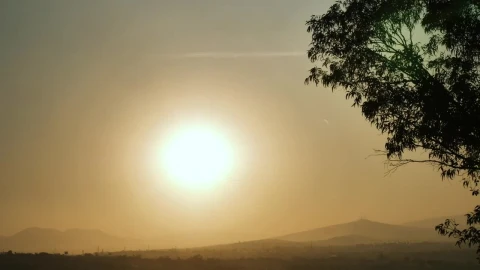 Free Video Stock Sun In The Sky And Silhouette Of A Tree Live Wallpaper - Free Live Wallpaper