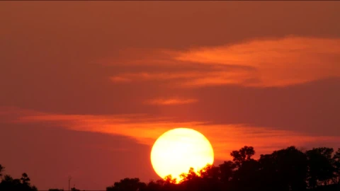 Free Video Stock Sun Setting Behind A Forest Live Wallpaper - Free Live Wallpaper