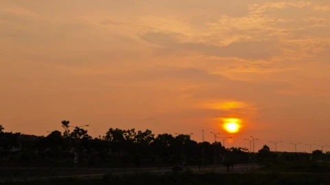 Free Video Stock Sun Setting Behind A Row Of Trees Live Wallpaper - Free Live Wallpaper