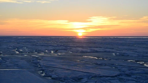 Free Video Stock Sun Setting On The Horizon Live Wallpaper - Free Live Wallpaper