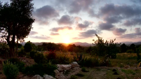 Free Video Stock Sun Setting Over A Garden Live Wallpaper - Free Live Wallpaper