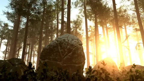 Free Video Stock Sun Shining Across A Forest Floor Live Wallpaper - Free Live Wallpaper