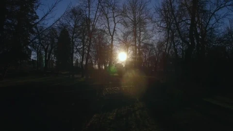 Free Video Stock Sun Shining Over A Park In Madrid Live Wallpaper - Free Live Wallpaper