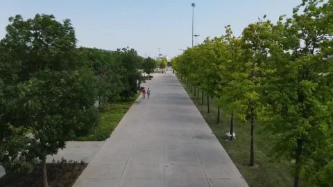 Free Video Stock Sunny Park With Trees And People From The Air Live Wallpaper - Free Live Wallpaper