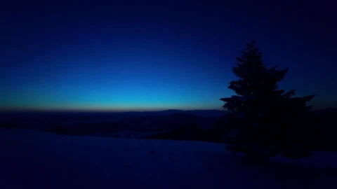 Free Video Stock Sunrise From A Snowy Hill With Pine Trees Live Wallpaper - Free Live Wallpaper