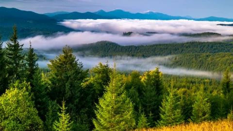 Free Video Stock Sunrise In A Foggy Mountain Live Wallpaper - Free Live Wallpaper
