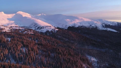 Free Video Stock Sunrise In A Winter Mountain Full Of Pine Trees Live Wallpaper - Free Live Wallpaper