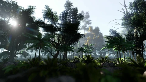 Free Video Stock tranquility in the jungle Live Wallpaper - Free Live Wallpaper