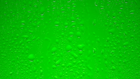 Free Video Stock transparent water drops on a green surface Live Wallpaper - Free Live Wallpaper