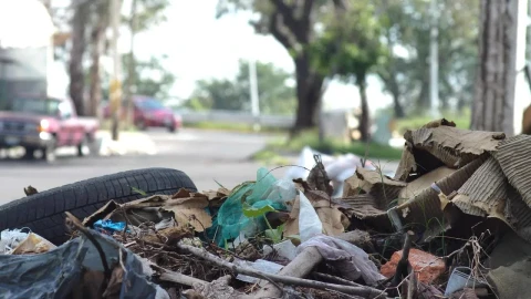Free Video Stock trash pile on the street on a sunny day Live Wallpaper - Free Live Wallpaper