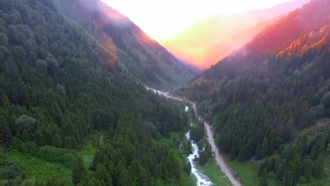 Free Video Stock sunrise in the mountain forest Live Wallpaper - Free Live Wallpaper