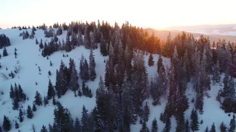 Free Video Stock sunrise in the skyline at snowy mountains Live Wallpaper - Free Live Wallpaper
