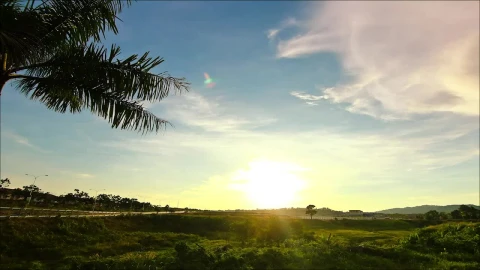 Free Video Stock sunset across vibrant farmland Live Wallpaper - Free Live Wallpaper