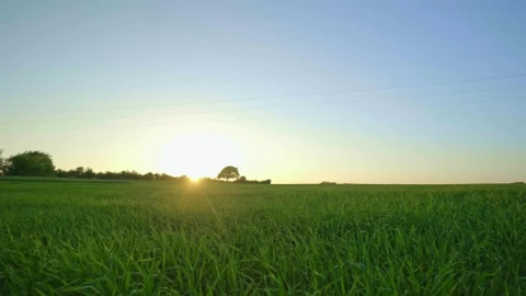 Free Video Stock sunset at the farm Live Wallpaper - Free Live Wallpaper