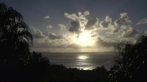 Free Video Stock sunset between the trees over the bay Live Wallpaper - Free Live Wallpaper