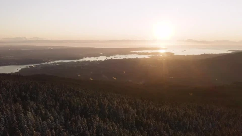 Free Video Stock sunset from a forest full of pines Live Wallpaper - Free Live Wallpaper