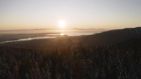 Free Video Stock sunset from a pine forest Live Wallpaper - Free Live Wallpaper