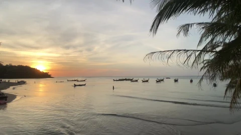 Free Video Stock sunset in a calm beach Live Wallpaper - Free Live Wallpaper