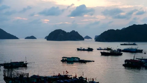 Free Video Stock sunset in a vietnam bay and boats Live Wallpaper - Free Live Wallpaper