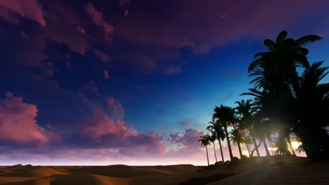 Free Video Stock sunset in the desert on the shore of an oasis Live Wallpaper - Free Live Wallpaper