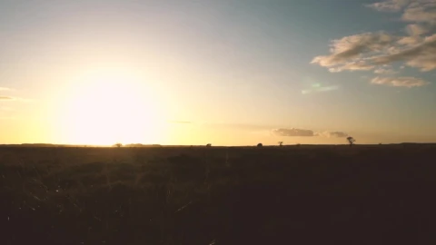 Free Video Stock sunset in the distance in a desert Live Wallpaper - Free Live Wallpaper