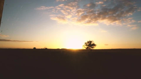 Free Video Stock sunset in the ranch Live Wallpaper - Free Live Wallpaper