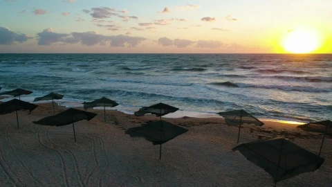 Free Video Stock sunset on a beach with wind and umbrellas Live Wallpaper - Free Live Wallpaper