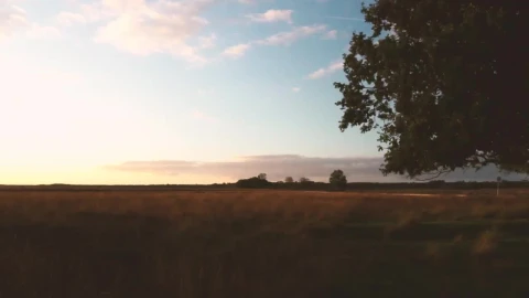 Free Video Stock sunset over fields of tall dry grass Live Wallpaper - Free Live Wallpaper