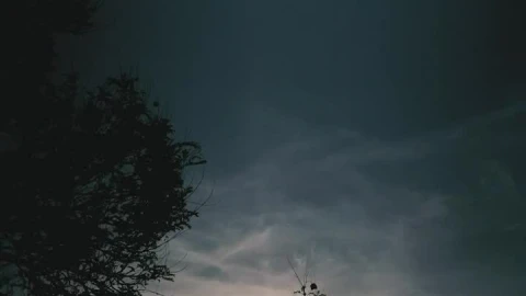 Free Video Stock sunset perspective in the city Live Wallpaper - Free Live Wallpaper