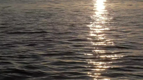 Free Video Stock sunset reflecting on ocean ripples Live Wallpaper - Free Live Wallpaper