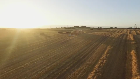 Free Video Stock sunset while a tractor works Live Wallpaper - Free Live Wallpaper