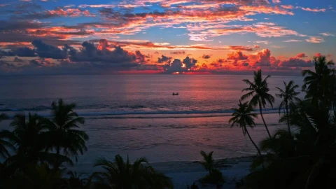 Free Video Stock sunset with sailing boats Live Wallpaper - Free Live Wallpaper