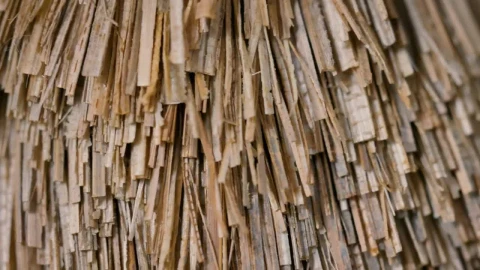 Free Video Stock superimposed layers of thin wooden strips Live Wallpaper - Free Live Wallpaper