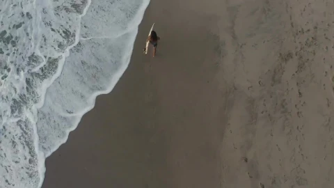 Free Video Stock surfer carrying his board along the beach Live Wallpaper - Free Live Wallpaper