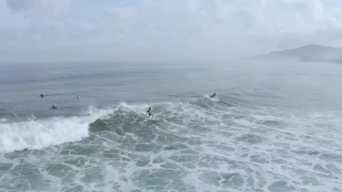Free Video Stock surfer catching a wave form above Live Wallpaper - Free Live Wallpaper