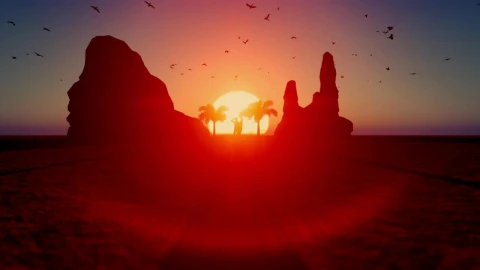 Free Video Stock surfer enjoying nature at sunset Live Wallpaper - Free Live Wallpaper
