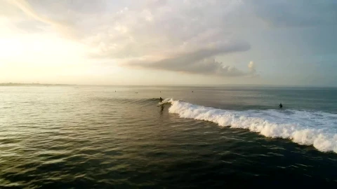 Free Video Stock surfer in action in the sea Live Wallpaper - Free Live Wallpaper