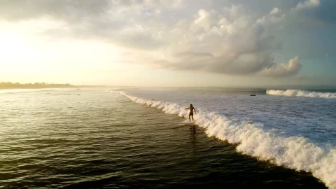 Free Video Stock surfer riding sunlit wave in slow motion Live Wallpaper - Free Live Wallpaper