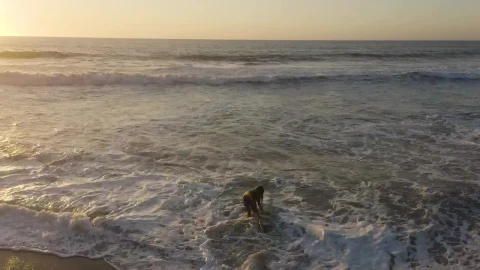 Free Video Stock surfer walking back to the beach Live Wallpaper - Free Live Wallpaper