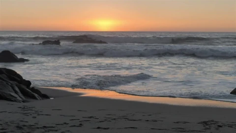 Free Video Stock surfer walking on the beach with the sun on the Live Wallpaper - Free Live Wallpaper