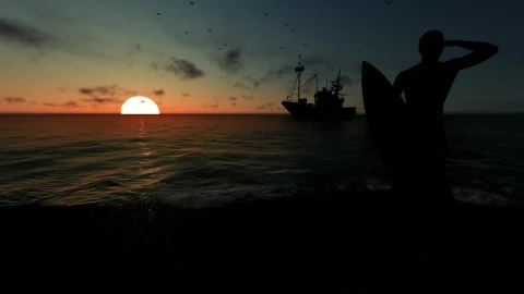 Free Video Stock surfer watching the sunset Live Wallpaper - Free Live Wallpaper