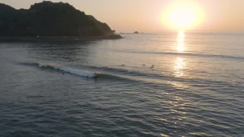 Free Video Stock surfers on waves of a beach from above Live Wallpaper - Free Live Wallpaper