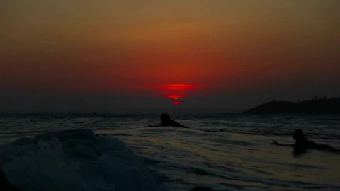 Free Video Stock surfers swiming in the evening Live Wallpaper - Free Live Wallpaper