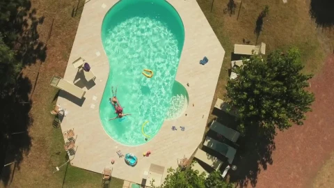 Free Video Stock swimming in a pool Live Wallpaper - Free Live Wallpaper