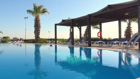 Free Video Stock swimming pool in the breeze Live Wallpaper - Free Live Wallpaper