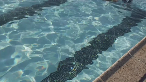 Free Video Stock swimming slowly along the pool Live Wallpaper - Free Live Wallpaper