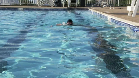 Free Video Stock swimming the length of a pool Live Wallpaper - Free Live Wallpaper
